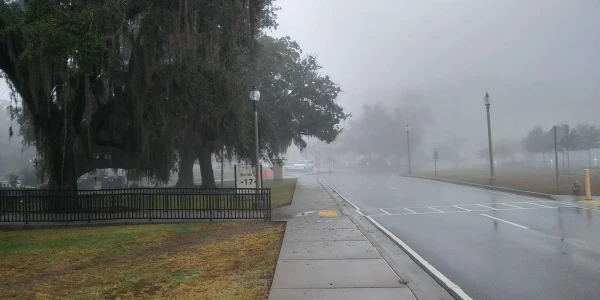 Gulf Coast VAMC - Behavioral Health Services (116)